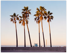 Load image into Gallery viewer, VENICE BEACH