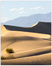 Load image into Gallery viewer, SAND DUNES