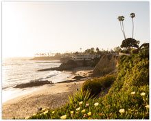 Load image into Gallery viewer, LAGUNA BEACH