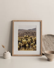 Load image into Gallery viewer, DESERT PLANTS
