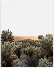 Load image into Gallery viewer, CHOLLA CACTUS