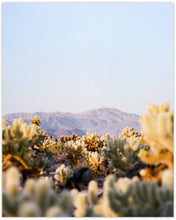 Load image into Gallery viewer, GARDEN VIEW