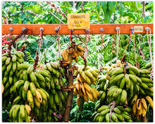 Load image into Gallery viewer, BANANA STAND