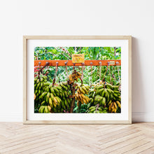Load image into Gallery viewer, BANANA STAND