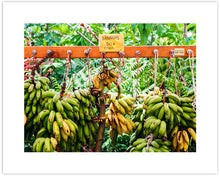 Load image into Gallery viewer, BANANA STAND