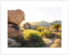 Load image into Gallery viewer, ROCK FORMATIONS