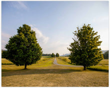 Load image into Gallery viewer, STORM KING