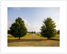 Load image into Gallery viewer, STORM KING