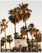 Load image into Gallery viewer, JUNGLE HOOP