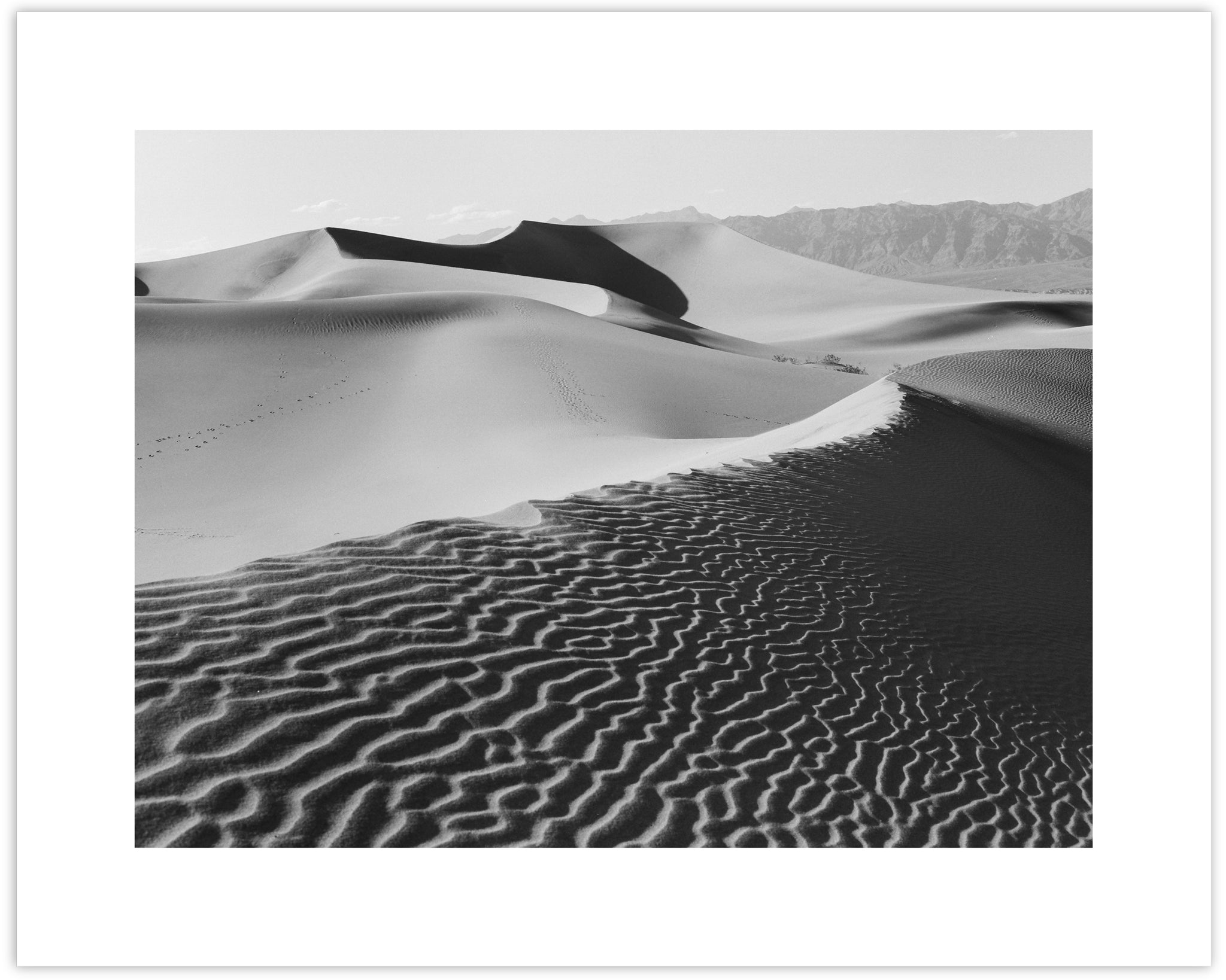 DEATH VALLEY COLLECTION – Collection 34
