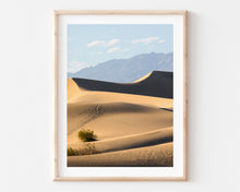 Load image into Gallery viewer, SAND DUNES