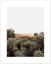 Load image into Gallery viewer, CHOLLA CACTUS