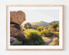 Load image into Gallery viewer, ROCK FORMATIONS