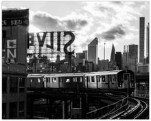 Load image into Gallery viewer, QUEENSBORO PLAZA