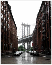 Load image into Gallery viewer, RAINY DUMBO